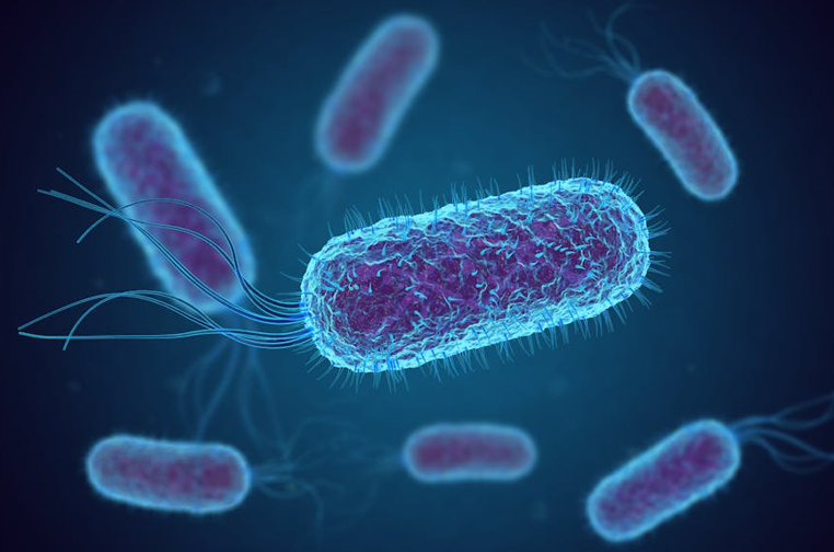 Microbiology CS11_2025